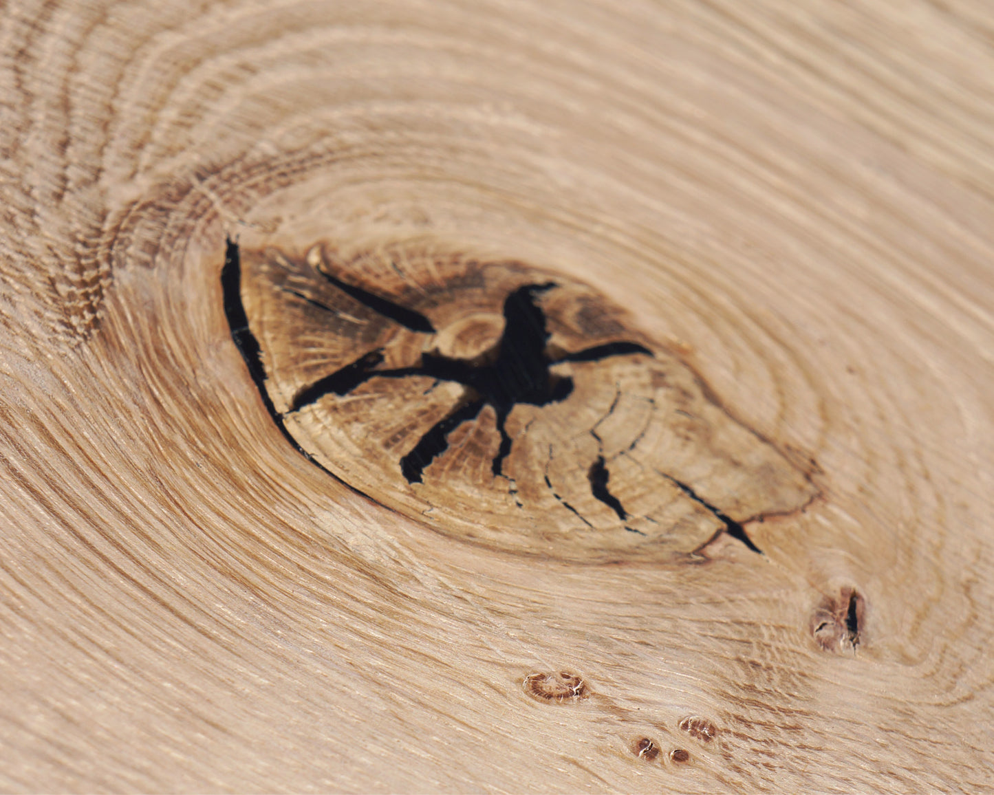 Wood Repair - Wood Repair Knot Filler Sticks (8pc) -  Various Colours