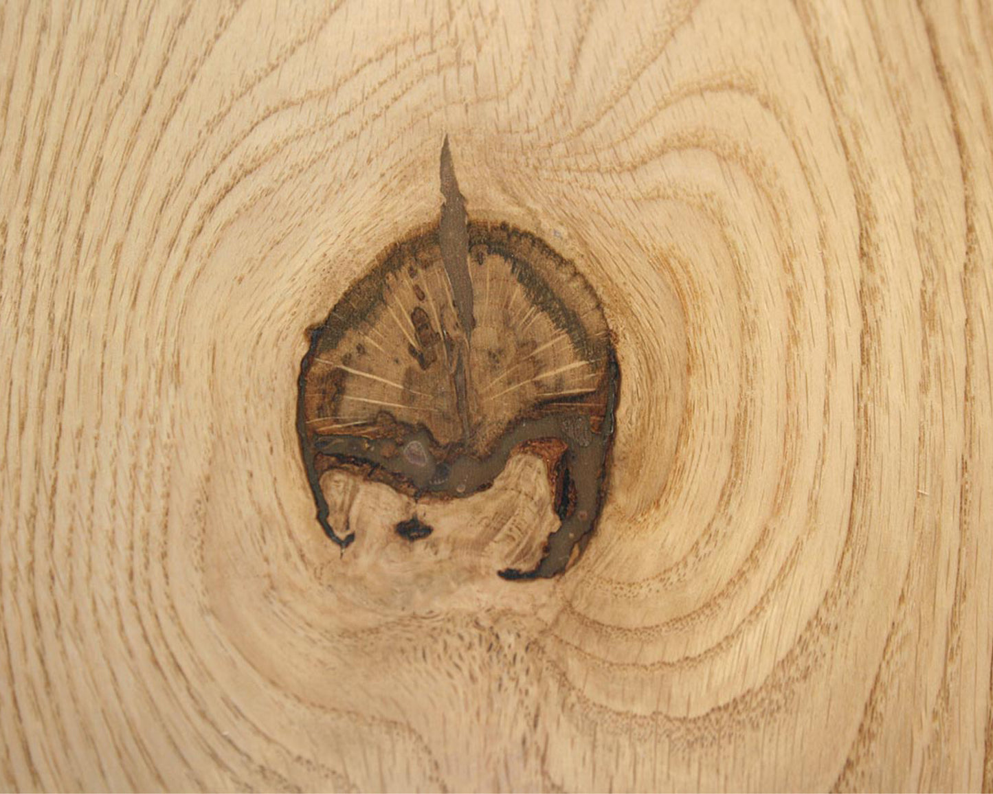 Wood Repair - Wood Repair Knot Filler Sticks (8pc) -  Various Colours